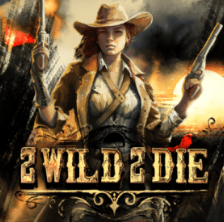 Illustrazione slot in evidenza 12